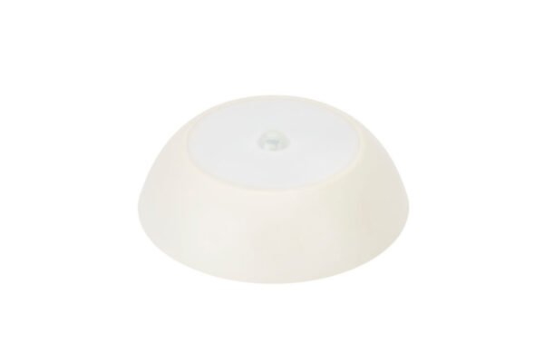 Magnetic Light With PIR Sensor for Shipping Containers